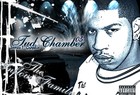 Picture for song 'Trowback (Im Big James)' by artist 'Ice-Burg Ent'