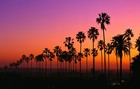 Picture for song '*BANGER* Summer Sunsets' by artist 'Ill Instrumentals (US)'