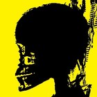 Picture for song 'The Raven (talk to me johnny mix)' by artist 'IMG8472'