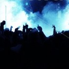 Picture for song 'Fan of the Crowd' by artist 'Imperial Traxxx'