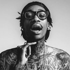 Picture for song 'Never Been 3' by artist 'Izzy Vicious'