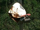 Picture for song 'Mailbox Bashers Came By' by artist 'James Austin'