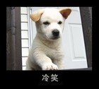 Picture for song 'Gong tip' by artist 'jayling'