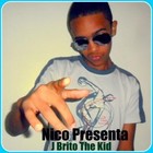 Picture for song 'j- brito- gata salvaje full.mp3' by artist 'J Brito'