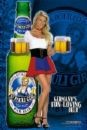 Picture for song 'A Bar Maid Fight (Beatles Parody)' by artist 'Jeff Reuben'