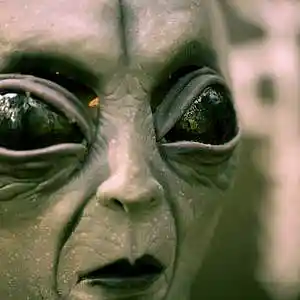 Picture for song 'zing zing Type Beat' by artist 'Jerbear.h Productions'