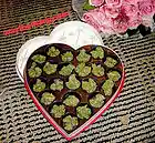 Picture for song 'Leave all ya weed at home Ft. Young Vett' by artist 'Jimi Inphinity'