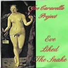 Picture for song 'What Will It Take' by artist 'Joe Caravella Project'