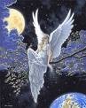 Picture for song 'Starliite' by artist 'John Dale Wilson'