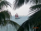 Picture for song 'Key West' by artist 'Johnny B and the Sunspots'