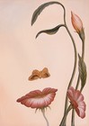 Picture for song 'She' by artist 'John P Roche'