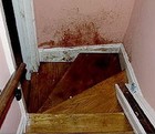Picture for song 'Bloody Front Steps (instr.)' by artist 'JohnQ Productions'
