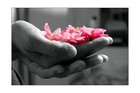 Picture for song 'Trampled Roses' by artist 'Jonie'