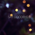 Picture for song 'Say Goodbye w/Hook by Tanaeya' by artist 'Jordan Metro'
