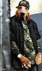 Picture for song '4 Wallz (Diamond Mind)' by artist 'JOZEF'