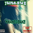 Picture for song 'St BTch (We Dont give A F*** )-Old Brook Boyz' by artist 'JuneBug Bgp'