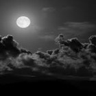 Picture for song 'In The Night' by artist 'justin salazar'