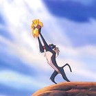 Picture for song 'The Half Circle of Life' by artist 'Juveous'