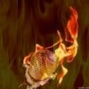 Picture for song 'I'm Hot' by artist 'Oh-Mac'