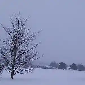 Picture for song 'The Winter Calls' by artist 'Kaley Willow'