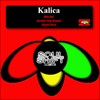 Picture for song 'Another Step Beyond' by artist 'Kalica'