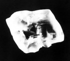 Picture for song 'Diamond in the trap.mp3' by artist 'Kangaroo Pimp'