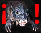 Picture for song 'Chupacabra Terror' by artist 'Karate Implosion'