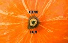 Picture for song 'KashleRec. - Keepin Calm' by artist 'KashleRec.'