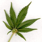 Picture for song 'Getcha High' by artist 'Kasper From The K'