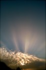 Picture for song 'Ave Maria' by artist 'Kathy Nobrega'