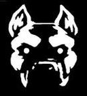 Picture for song 'ON DA GRIND' by artist 'KENNEL KLUB THUGGZ'