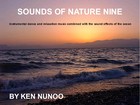 Picture for song 'SOUNDS OF NATURE NINE' by artist 'Ken Nunoo'