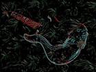 Picture for song 'Aussen Funk Jam' by artist 'KenTone'