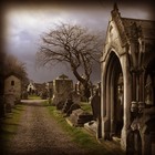 Picture for song 'Ashen' by artist 'Kevin Scott Dunn'