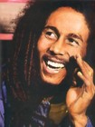 Picture for song 'Everything Is Gonna Be Alrite(Bob Marley Sample)' by artist 'KiddInkredable'