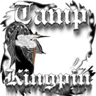 Picture for song 'Tamp Beat 11-28-08' by artist 'Kingpin Royalty Music'
