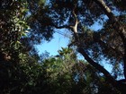 Picture for song 'Value' by artist 'Knotted Cyprus'