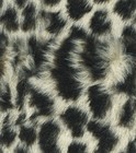 Picture for song 'Leopard Skin(INSTRUMENTAL)' by artist 'Kompakt Label Beatz(US)'