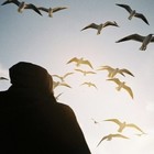 Picture for song '*SUN* Spring Shining | Free DL' by artist 'Kremlin Production'