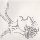 Picture for song 'Mental Meltdown' by artist 'KrissiO'