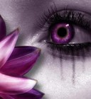 Picture for song 'Stigmatism' by artist 'Kristi Park'