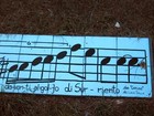 Picture for song 'CARUSO (Miguel & Kristy)' by artist 'KRISTY ANN SMITH'