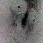Picture for song '(stop) deoppose it' by artist 'labbor'