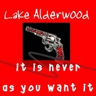Picture for song 'It Is Never As You Want It' by artist 'Lake Alderwood'