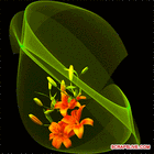 Picture for song 'Le Nao Em Khong Hay' by artist 'Lam Thieu Anh Music (US)'