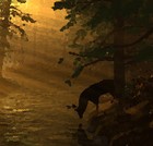 Picture for song 'Another Interlude' by artist 'Larry Ludwick'