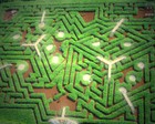 Picture for song 'Into the Maze' by artist 'Larry Ludwick'