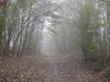 Picture for song 'Poete Du Brouillard' by artist 'LeSnixAka11Septembre'