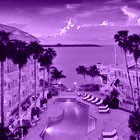 Picture for song '(NEW) This life is amazing pt.2 | 2013' by artist 'LEXI BANKS'