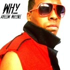 Picture for song 'Why (A Capella)' by artist 'Linden Avenue Productions'